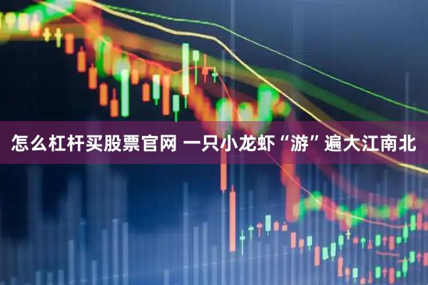 怎么杠杆买股票官网 一只小龙虾“游”遍大江南北